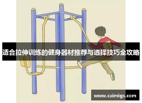 适合拉伸训练的健身器材推荐与选择技巧全攻略