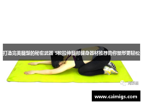 打造完美腿型的秘密武器 5款拉伸腿部健身器材推荐助你塑形更轻松