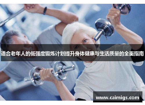 适合老年人的低强度锻炼计划提升身体健康与生活质量的全面指南