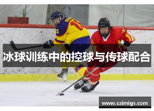 冰球训练中的控球与传球配合