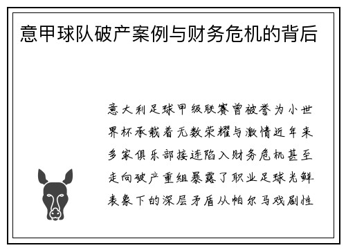 意甲球队破产案例与财务危机的背后