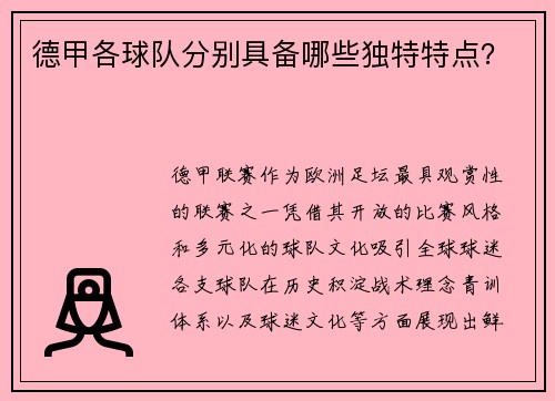 德甲各球队分别具备哪些独特特点？